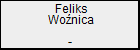 Feliks Wonica