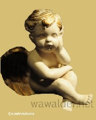 pict8553.jpg [189x237]