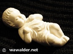 pict9047.jpg [237x176]